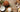 What Does the Mandalay Bay Smell Like - Coconut Spice