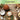 Coconut Spice - The Smell of a Coconut Mojito on a Rainy Day