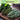Herb Garden-1