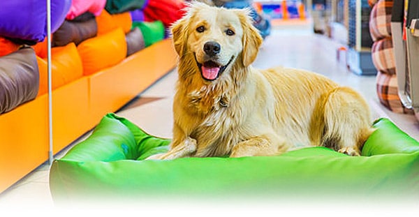 scenting for pet stores