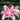 Scent_of_the_Month_COVER_Sep_Wynn's_Asian_Lily