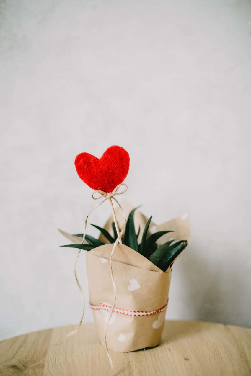 Valentine's Day Gifts For Him, For Her & Everyone Else Aroma Retail