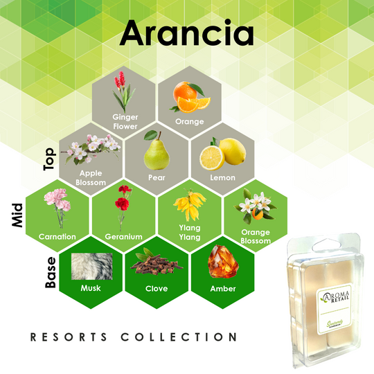Aromatherapy Wax Melt - Single Wax Melt Tray