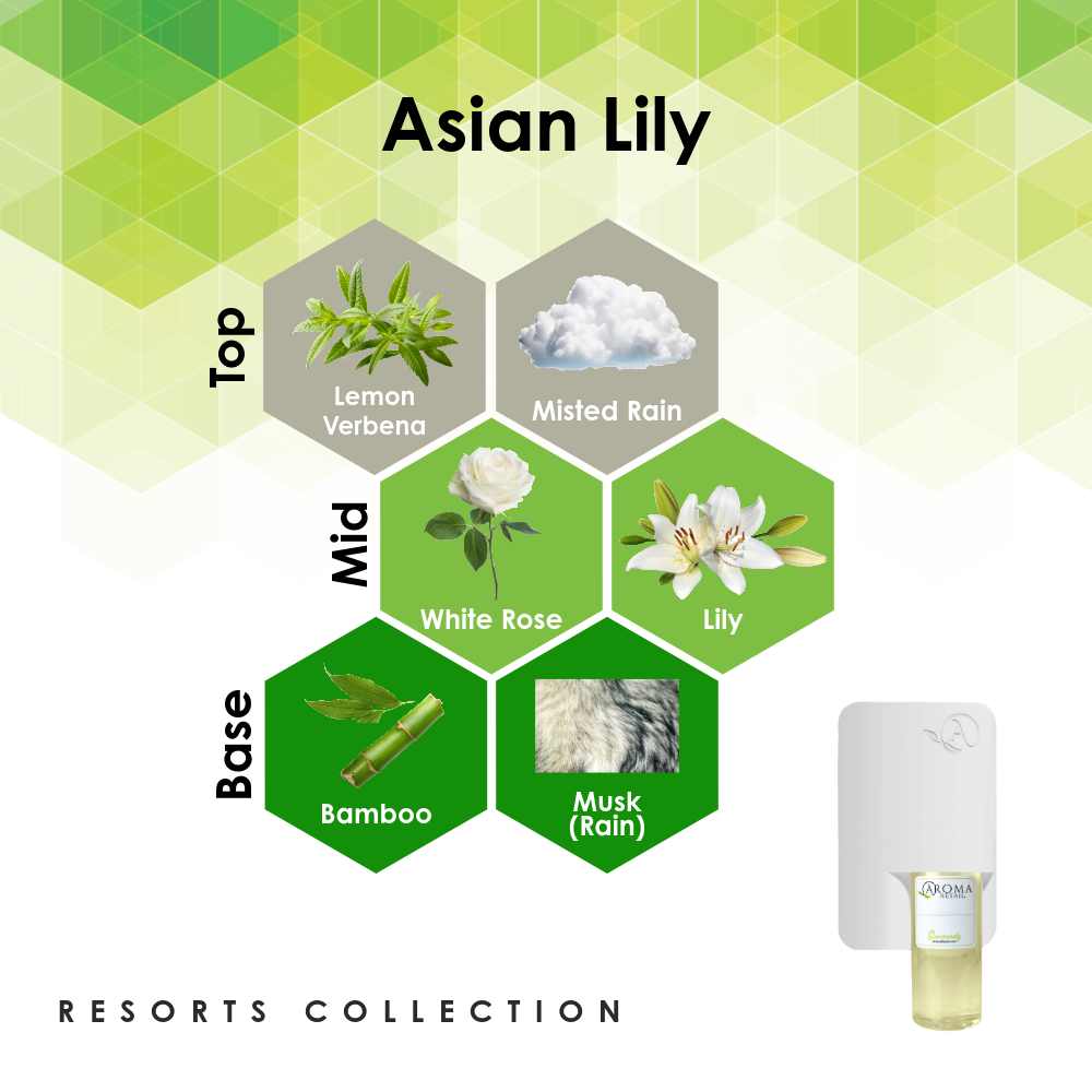 Scent Machine Room with Fragrance Oil