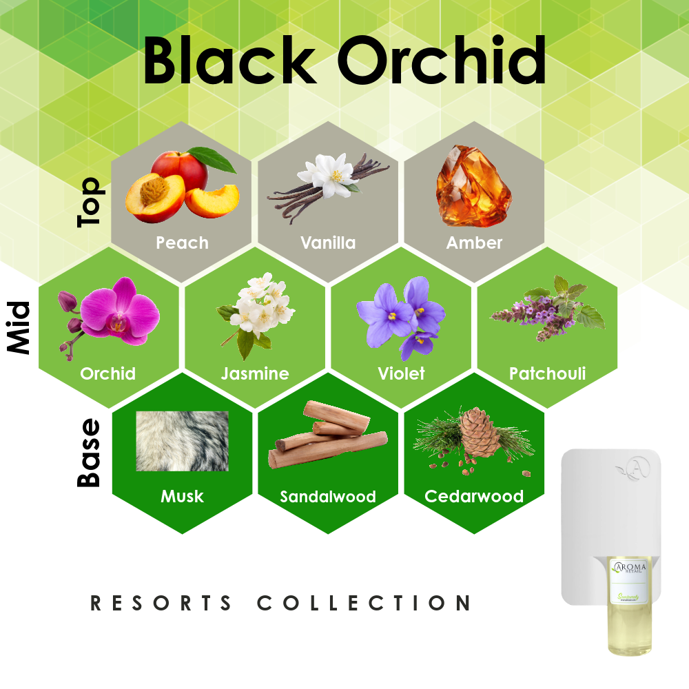 Scent Machine Room with Fragrance Oil