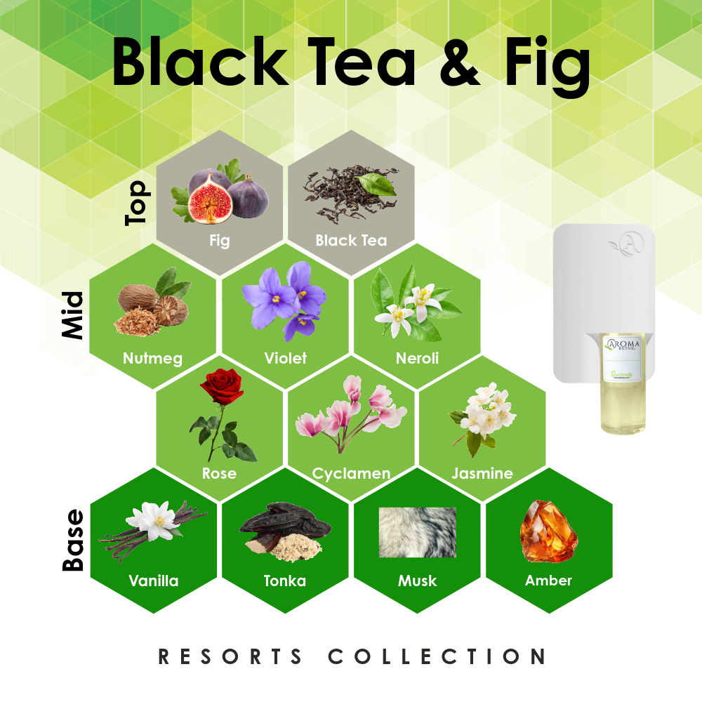 Scent Machine Room with Fragrance Oil