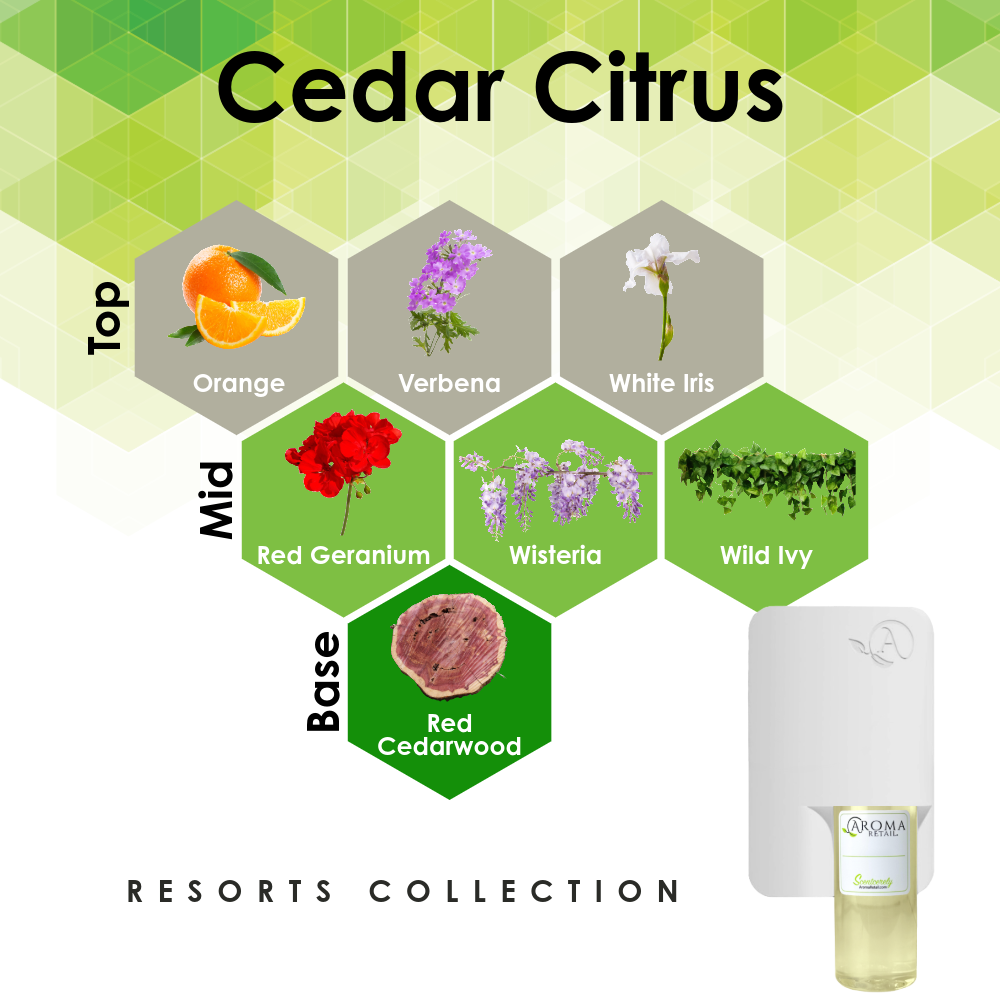Scent Machine Room with Fragrance Oil