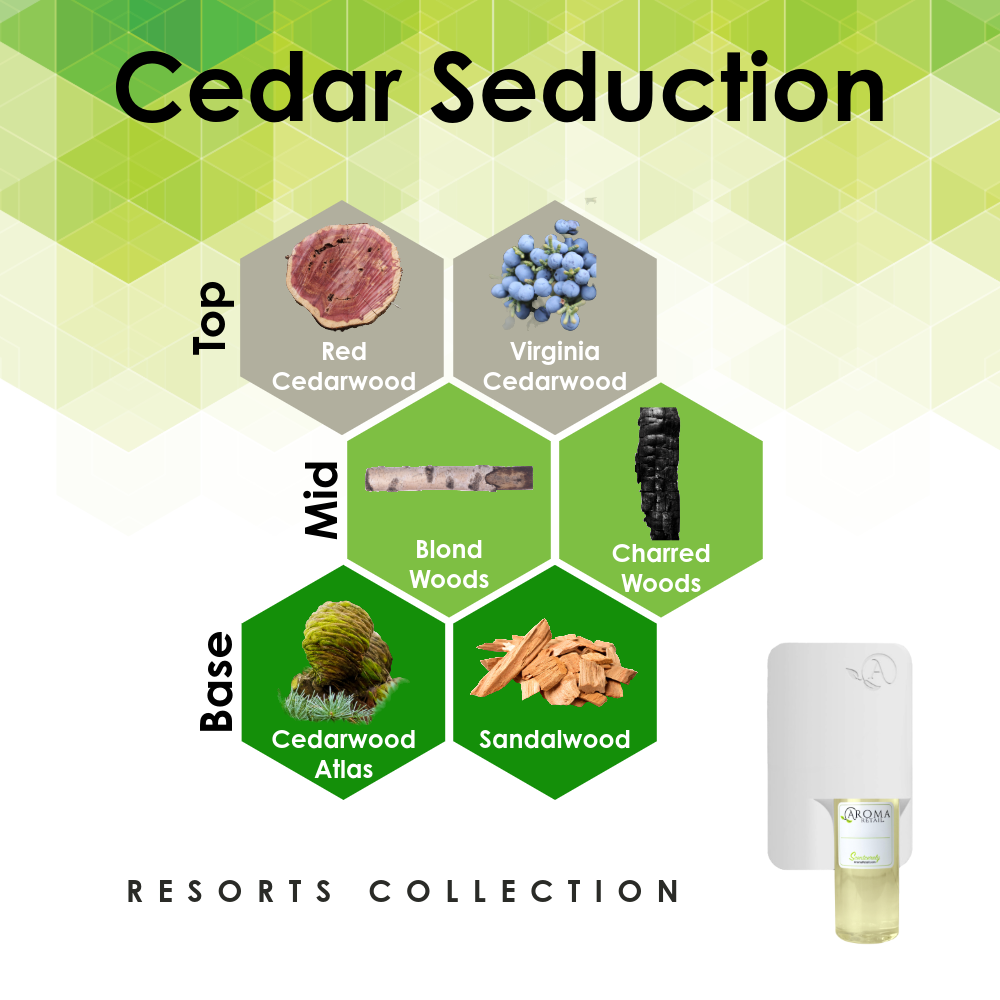 Scent Machine Room with Fragrance Oil