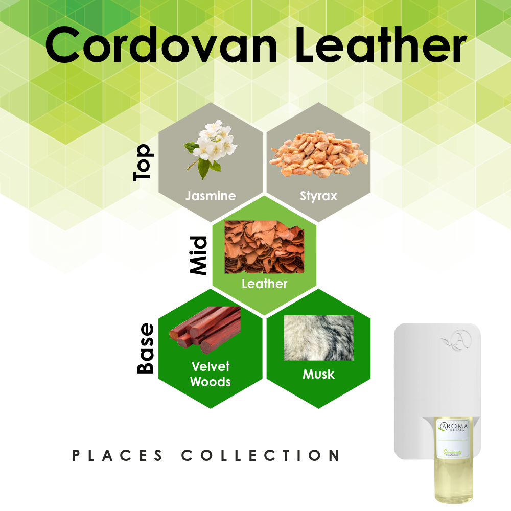 Scent Machine Room with Fragrance Oil