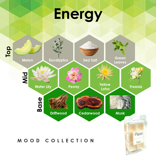 Aromatherapy Wax Melt - Single Wax Melt Tray
