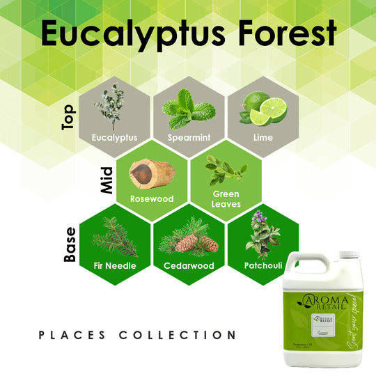 Eucalyptus Forest-27oz