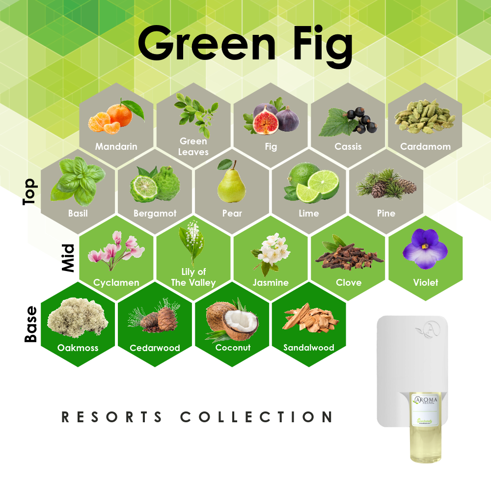 Scent Machine Room with Fragrance Oil
