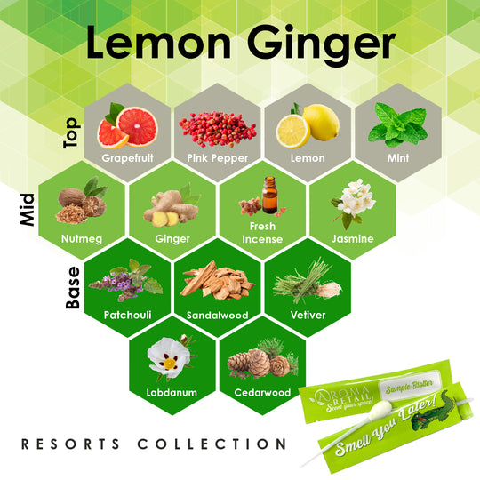 Lemon Ginger-Sblotter