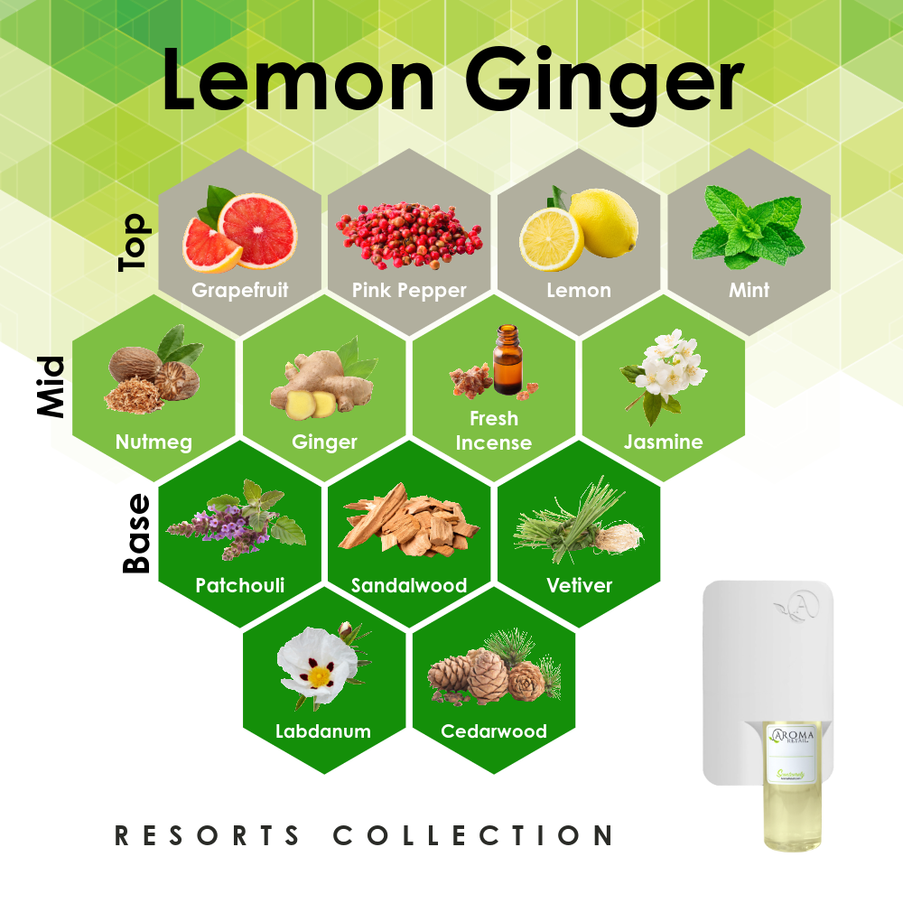 Scent Machine Room with Fragrance Oil