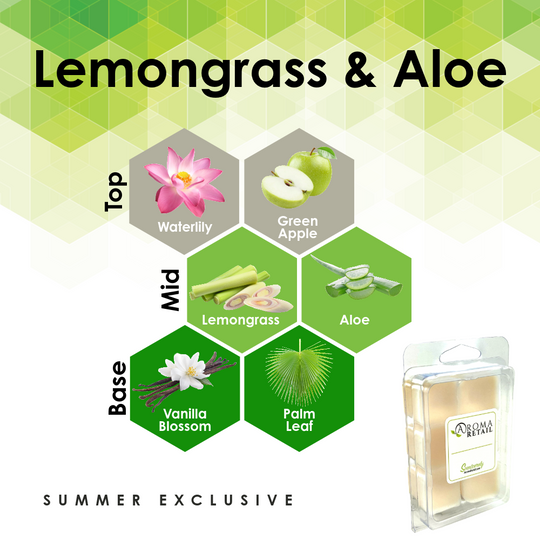 Aromatherapy Wax Melt - Single Wax Melt Tray