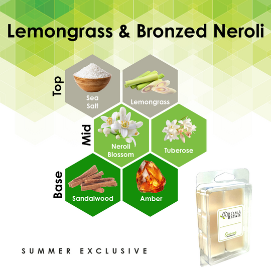 Aromatherapy Wax Melt - Single Wax Melt Tray