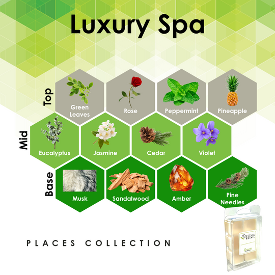 Aromatherapy Wax Melt - Single Wax Melt Tray
