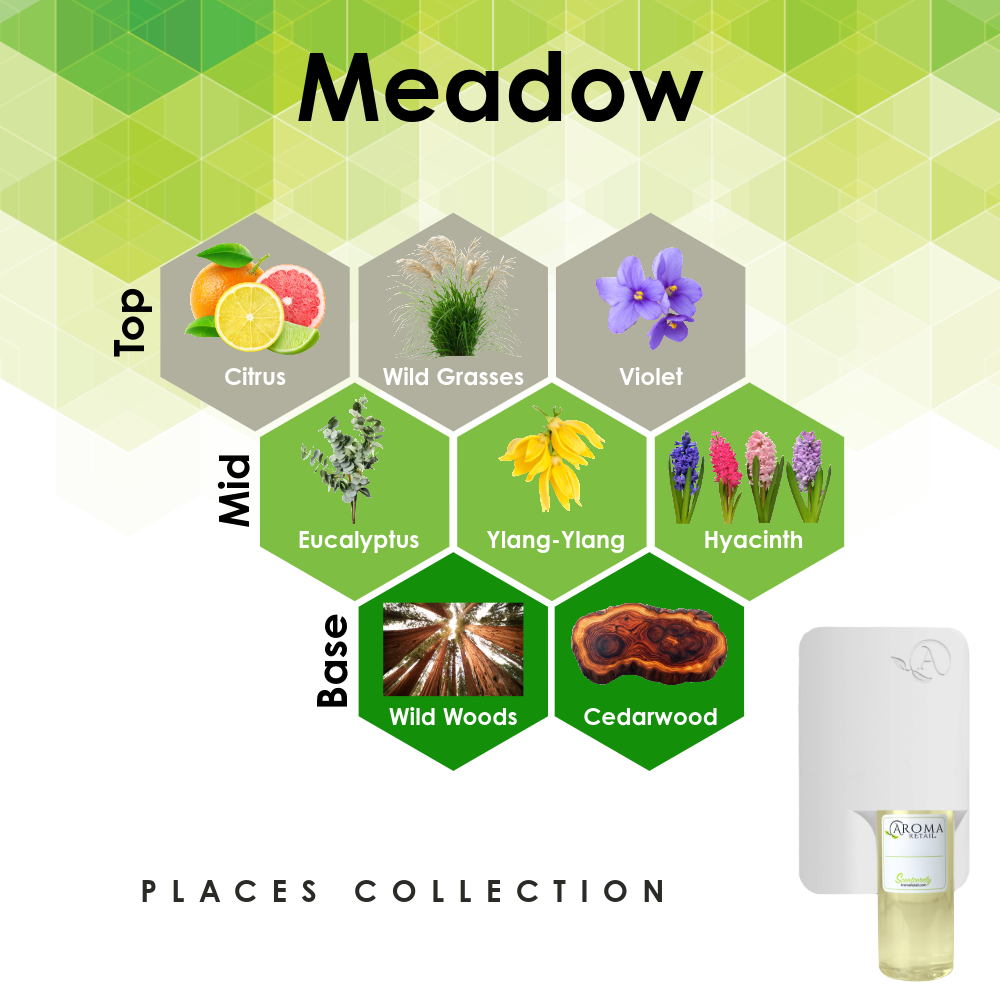 Scent Machine Room with Fragrance Oil