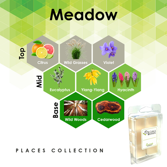 Aromatherapy Wax Melt - Single Wax Melt Tray