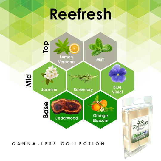 Aromatherapy Wax Melt - Single Wax Melt Tray