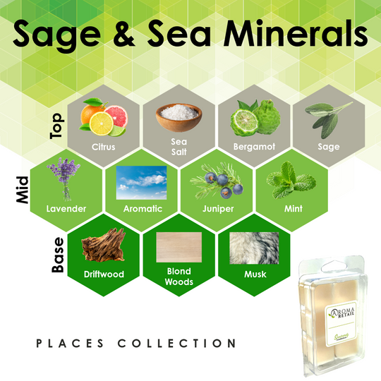 Aromatherapy Wax Melt - Single Wax Melt Tray