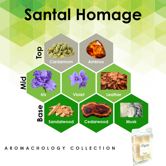Aromatherapy Wax Melt - Single Wax Melt Tray