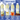 Adventurous Fragrance Oil Bundle Pack