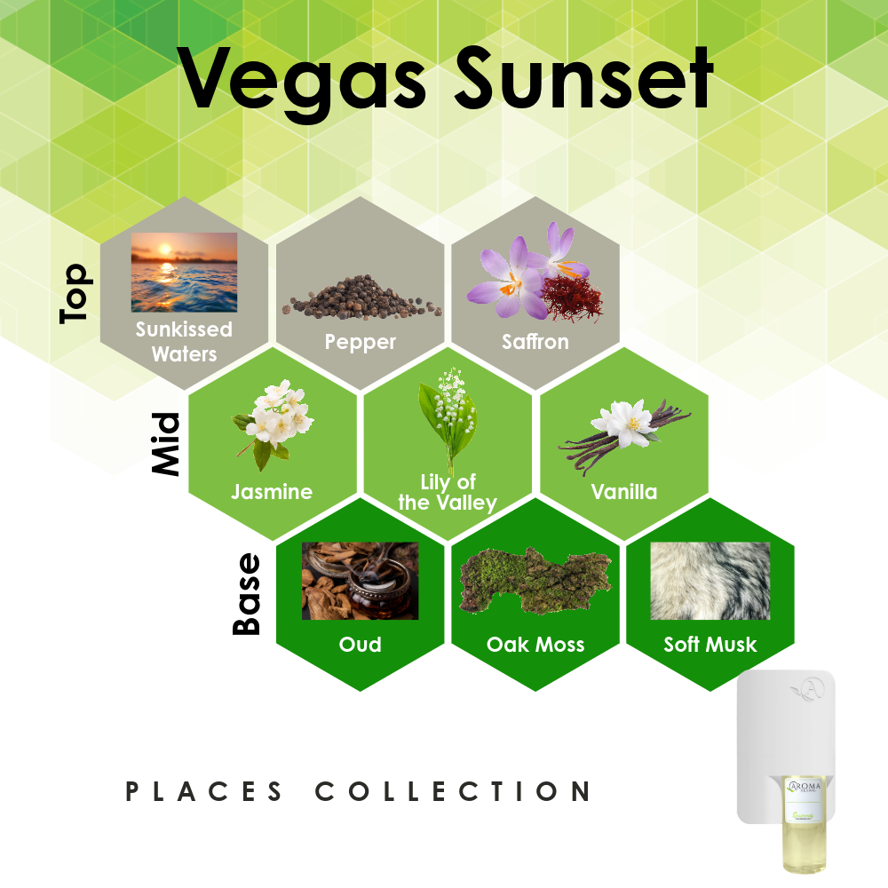 Room Scent Diffuser Plug-In with Fragrance Oil