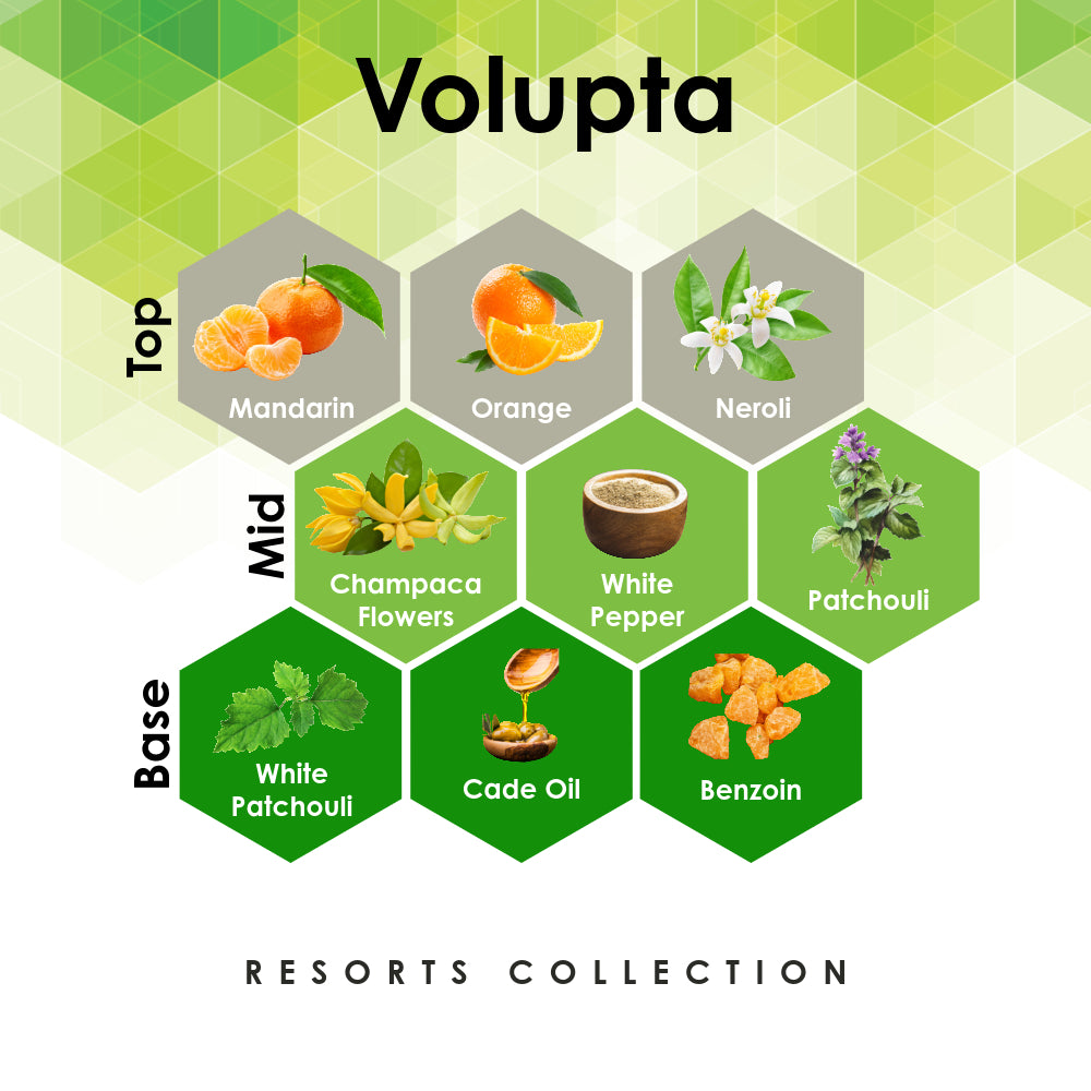 Volupta Citrus Patchouli And More Scented Fragrance Oil Aroma Retail volupta-citrus-patchouli-and-more-scented-fragrance-oil-aroma-retail