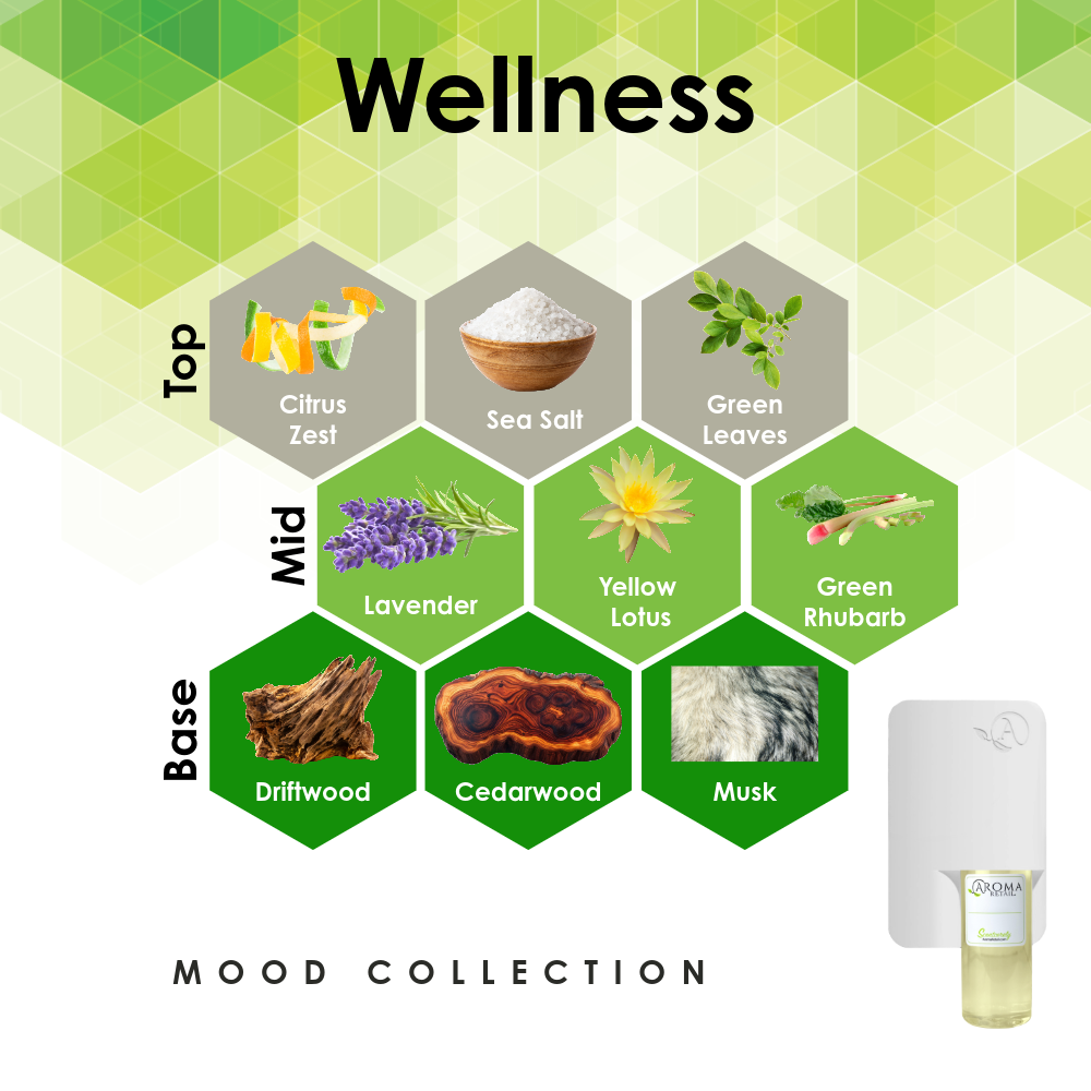 Scent Machine Room with Fragrance Oil