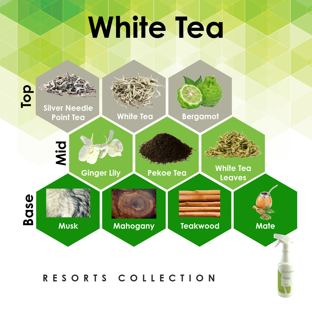 white tea and lily air freshener White Tea
