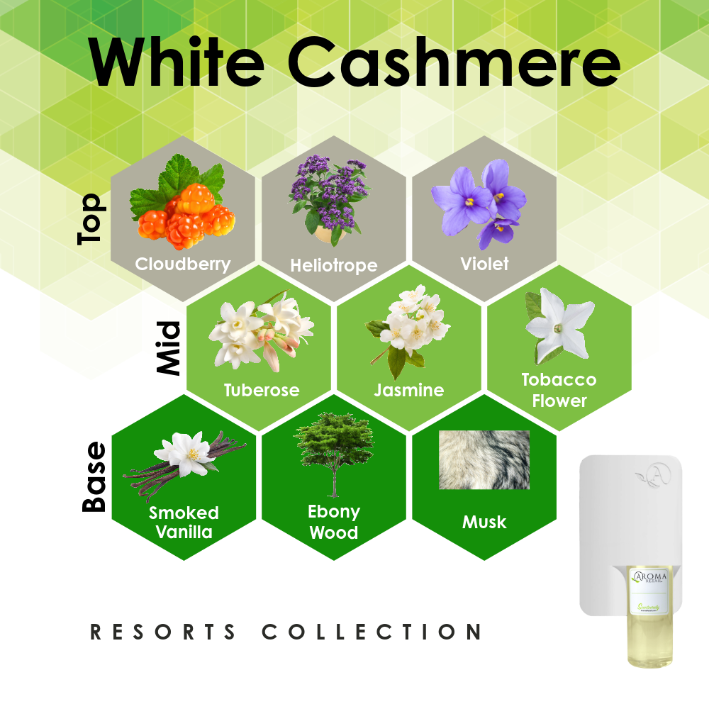 Scent Machine Room with Fragrance Oil