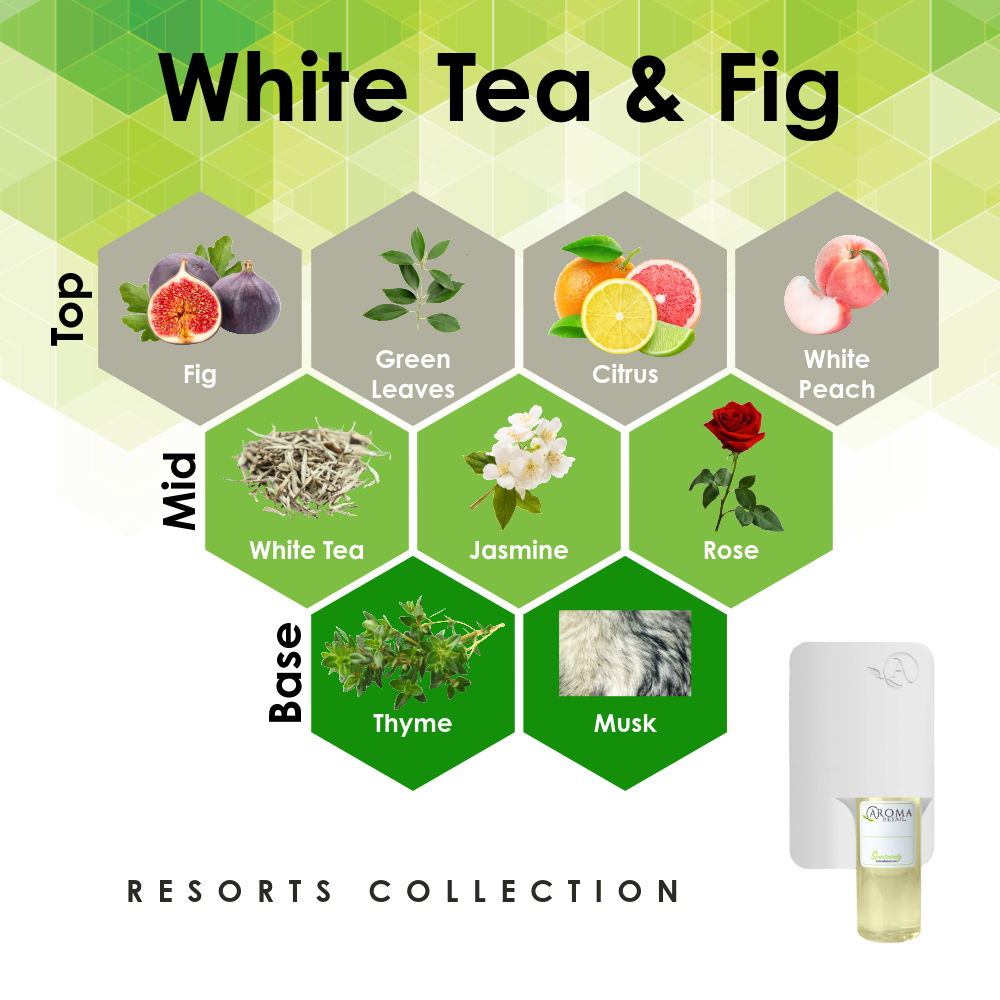 Scent Machine Room with Fragrance Oil