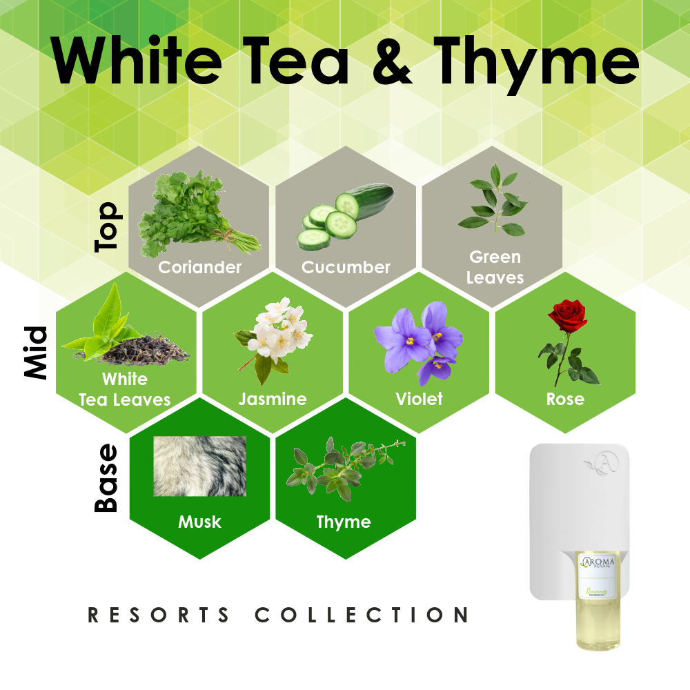 Scent Machine Room with Fragrance Oil
