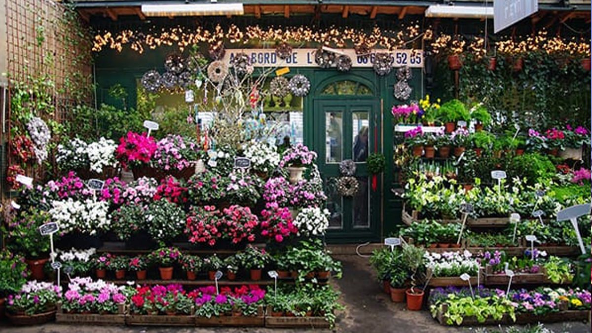 Flower Shop by Aroma Retail