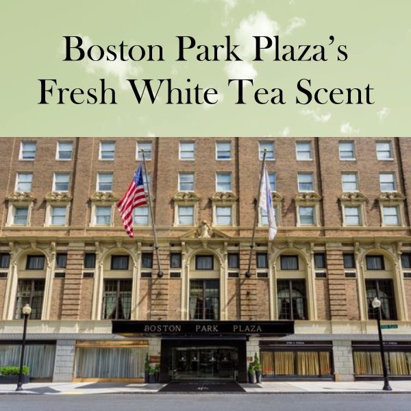 Boston Park Plaza's Fresh White Tea Fragrance Oil