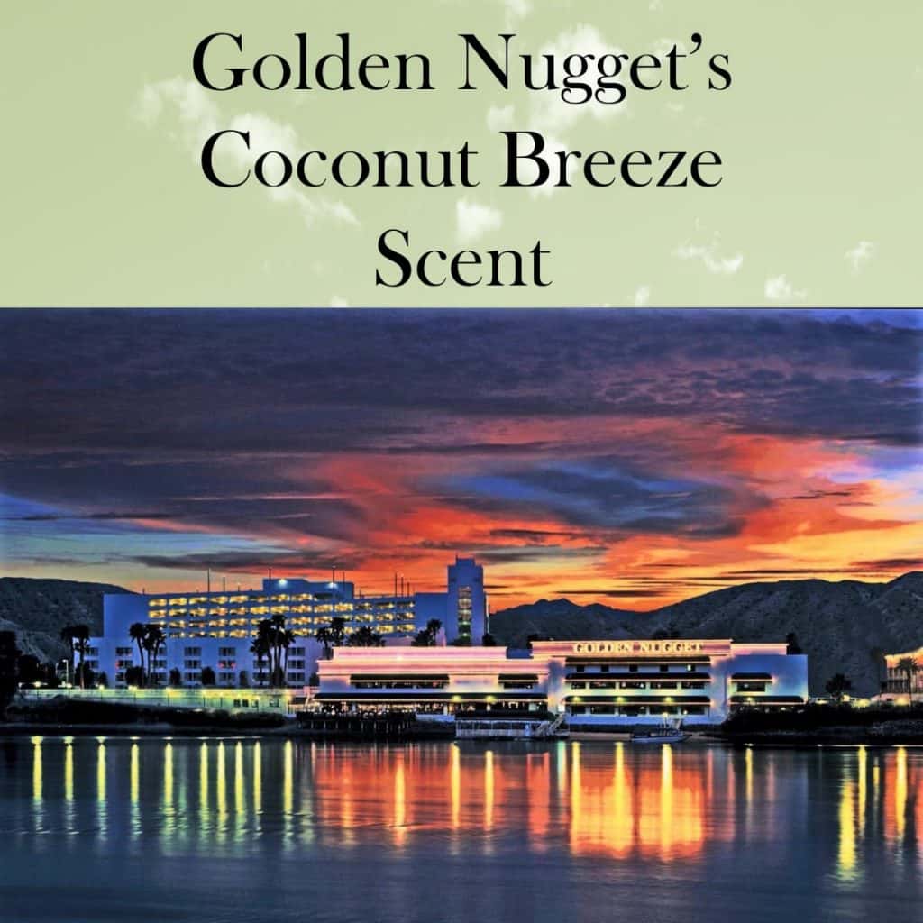 Golden Nugget's Scent