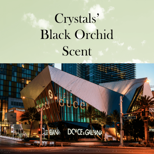 Crystal's Black Orchid by Aroma Retail
