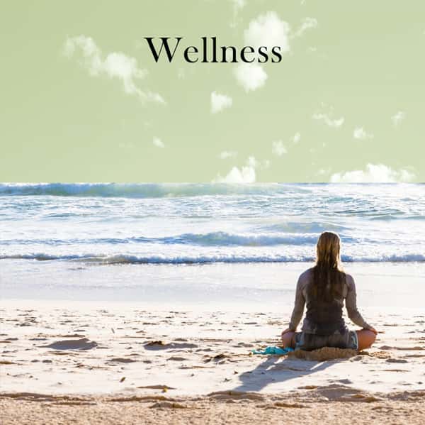 Wellness by Aroma Retail Fragrance Oil