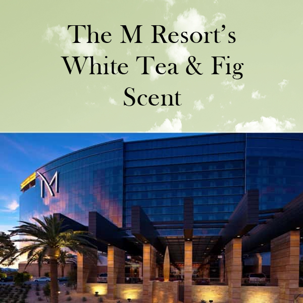 The M Resort's White Tea & Fig Fragrance Oil