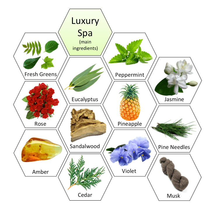 aromastrology scents for taurus