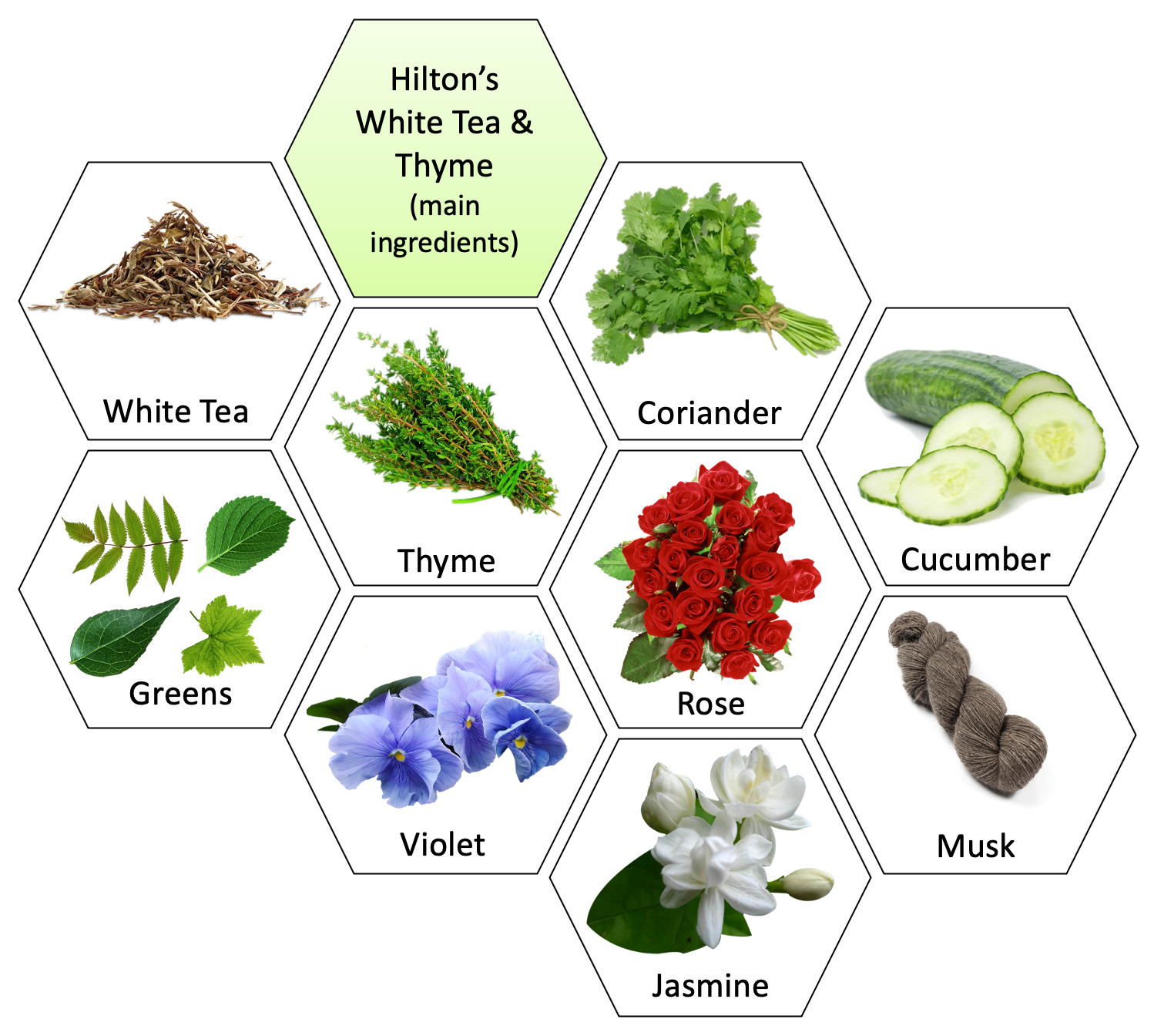 White Tea and Thyme Fragrance Oil - Hilton | Aroma Retail