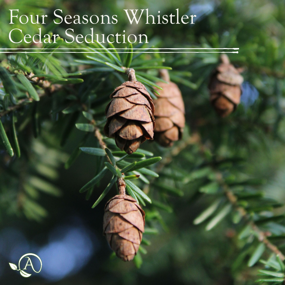 four seasons whistler resort hotel ski lodge cedar seduction aroma retail fragrance oil scent diffuser machine