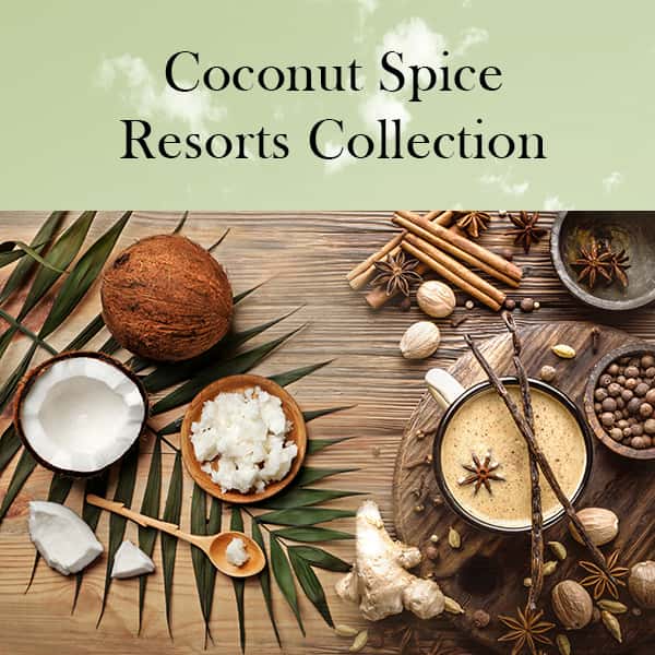 Coconut Spice Fragrance Oil