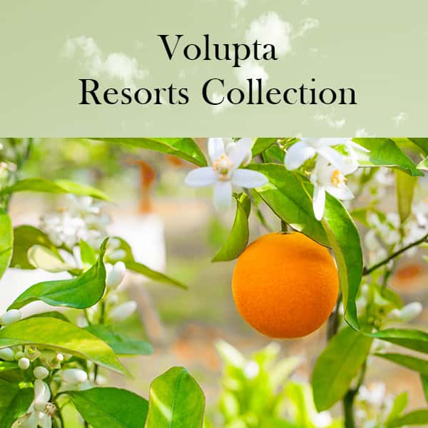 Volupta - Resorts Collection