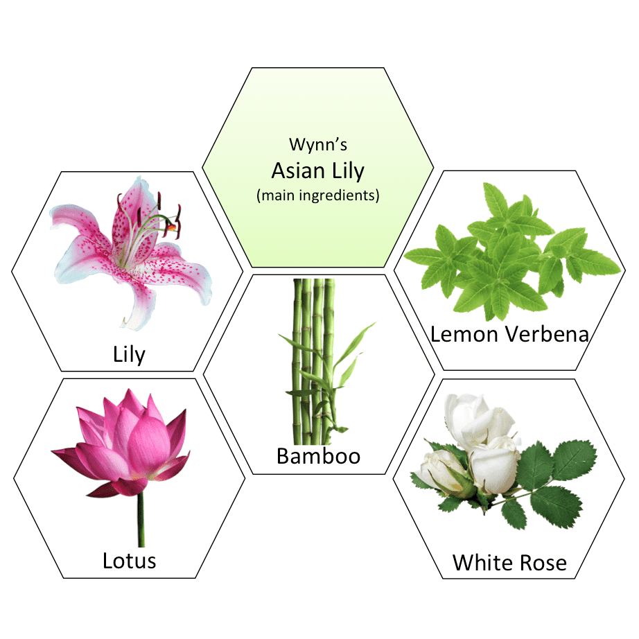 Wynn Resort's Asian Lily