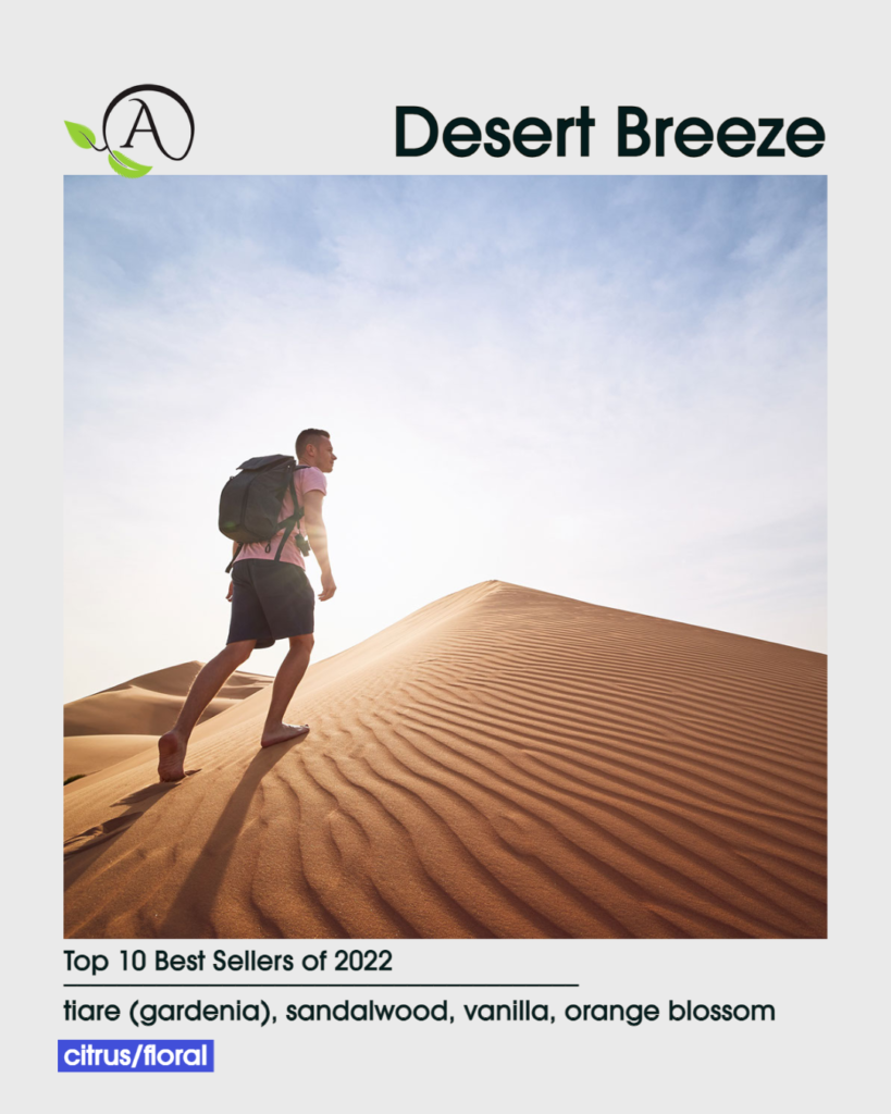 ten 10 best top sellers selling fragrances 2022 desert breeze