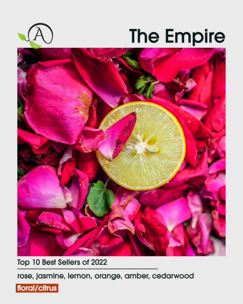 ten 10 best top sellers selling fragrances 2022 the empire