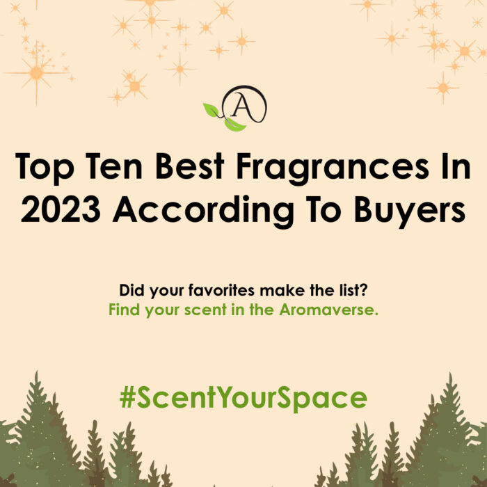 Top Ten Best Fragrances In 2023 According To Buyers