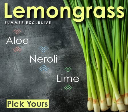 Lemongrass Limited Edition Website Tile-3 (2)